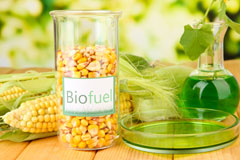 Burton Le Coggles biofuel availability